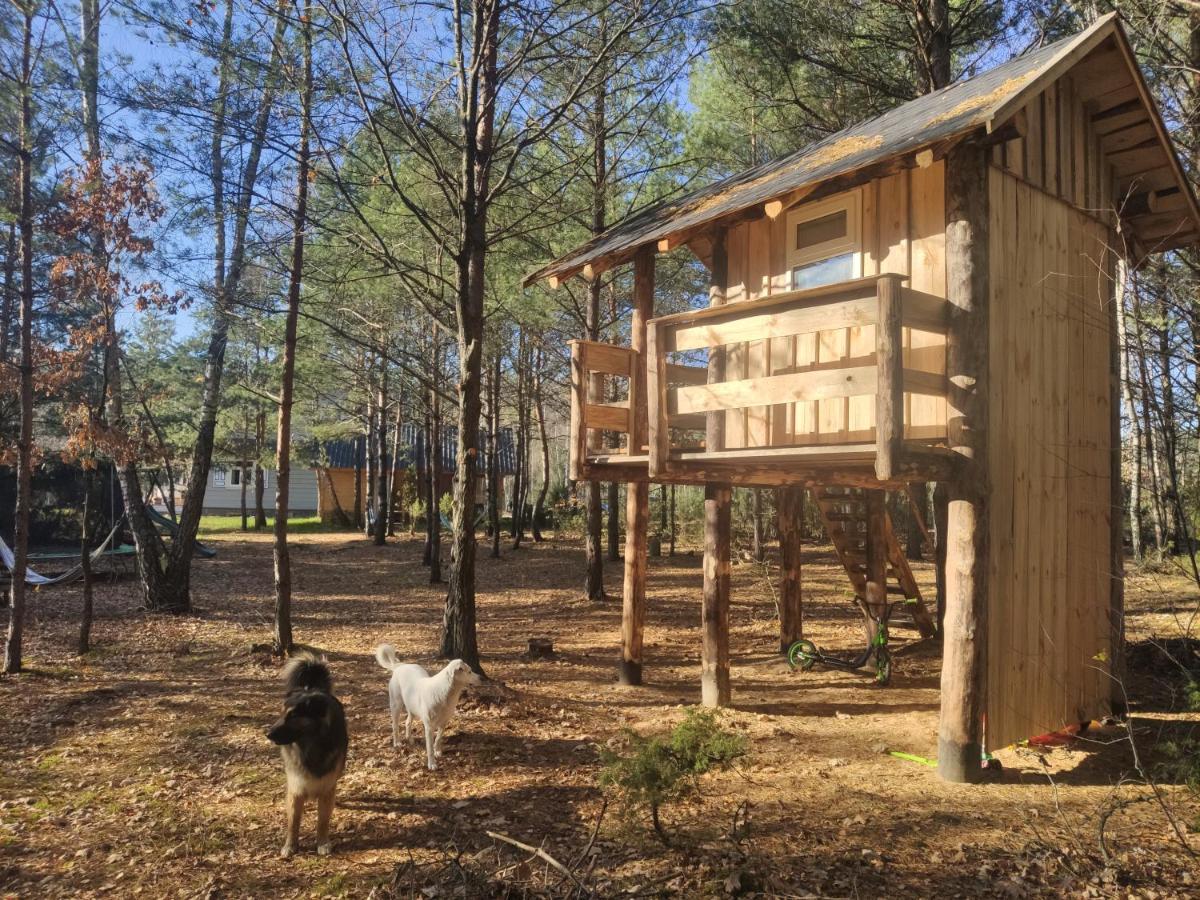 Siedlisko Soce Agroturystyka Villa Exterior foto